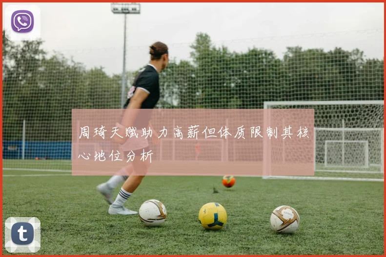 周琦天赋助力高薪但体质限制其核心地位分析