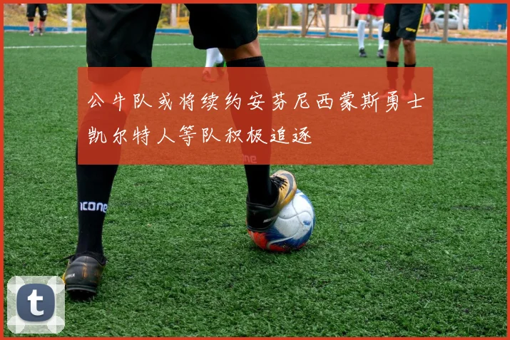 公牛队或将续约安芬尼西蒙斯勇士凯尔特人等队积极追逐